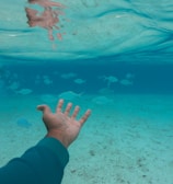 An underwater scene featuring a person's outstretched hand reaching towards a school of fish swimming by. The water is clear, revealing a sandy seabed, and the play of light creates shifting patterns on the water's surface.